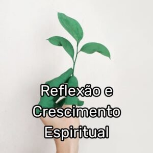 4-300x300